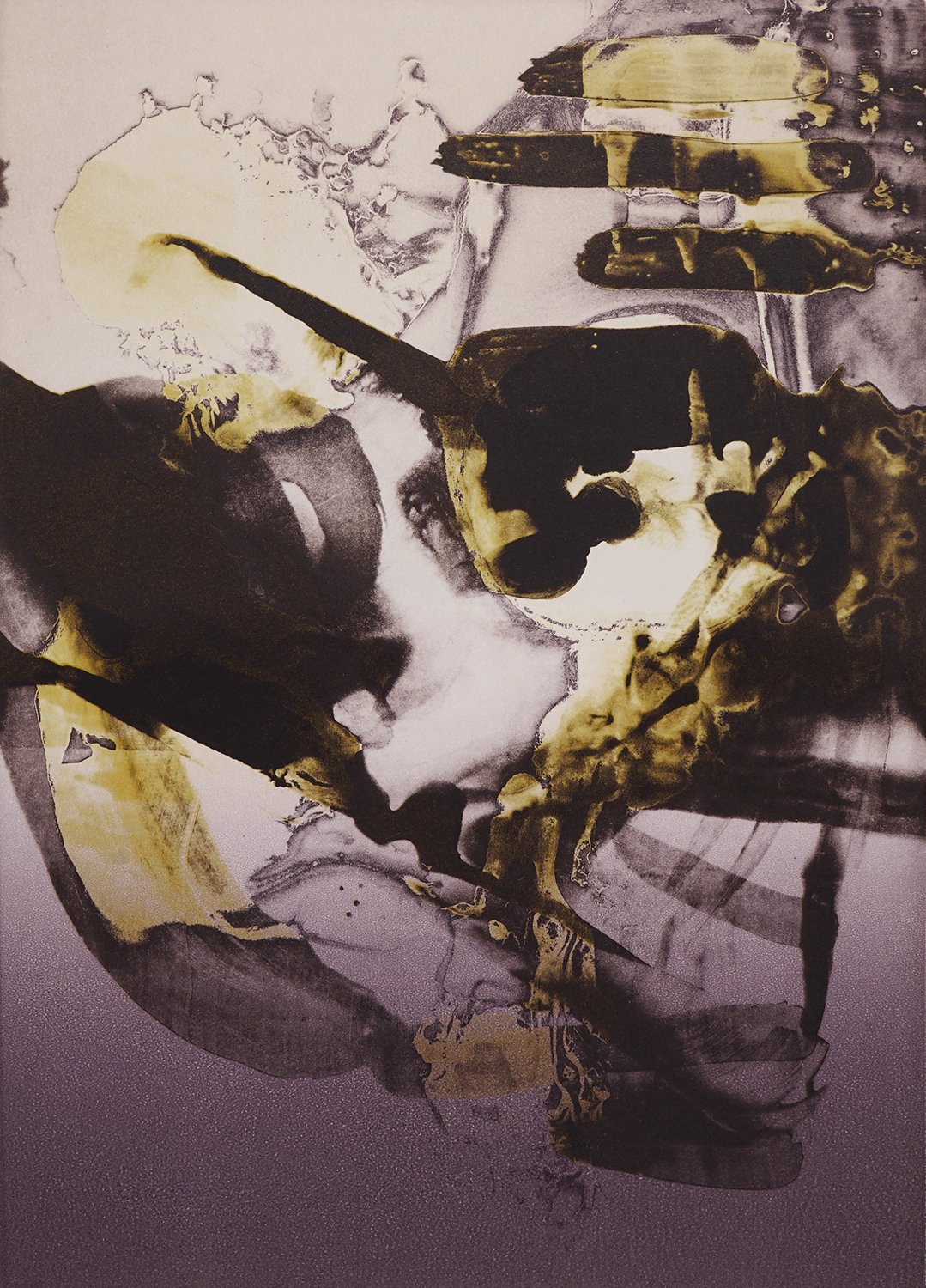 Dorothea Van Camp — 13FOREST Gallery